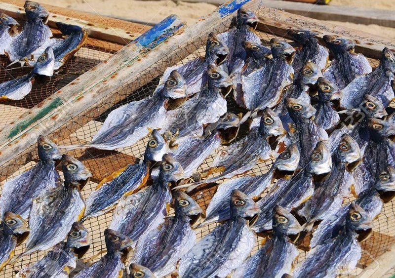 Vì sao doanh nghiệp chế biến thủy sản cần sở hữu máy sấy lạnh thủy sản?