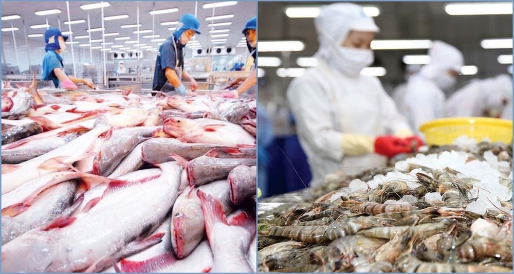 Ngành chế biến thủy sản đông lạnh và tháp giải nhiệt