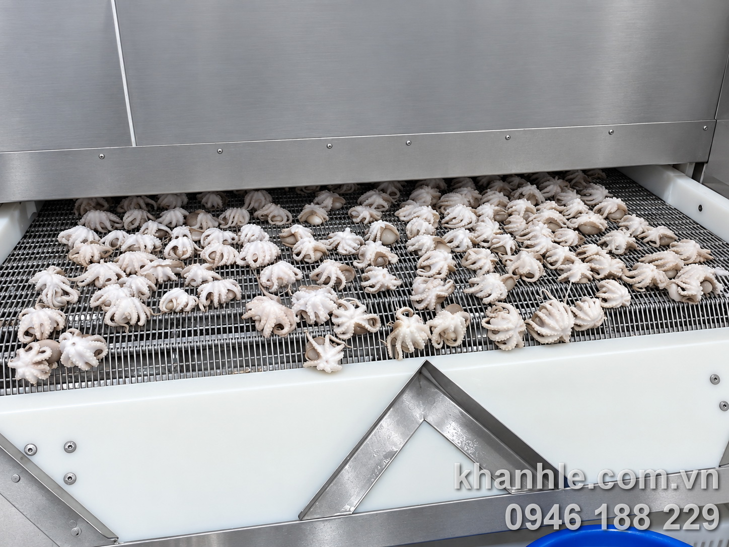 Sản phầm cấp đông – Bạch tuộc