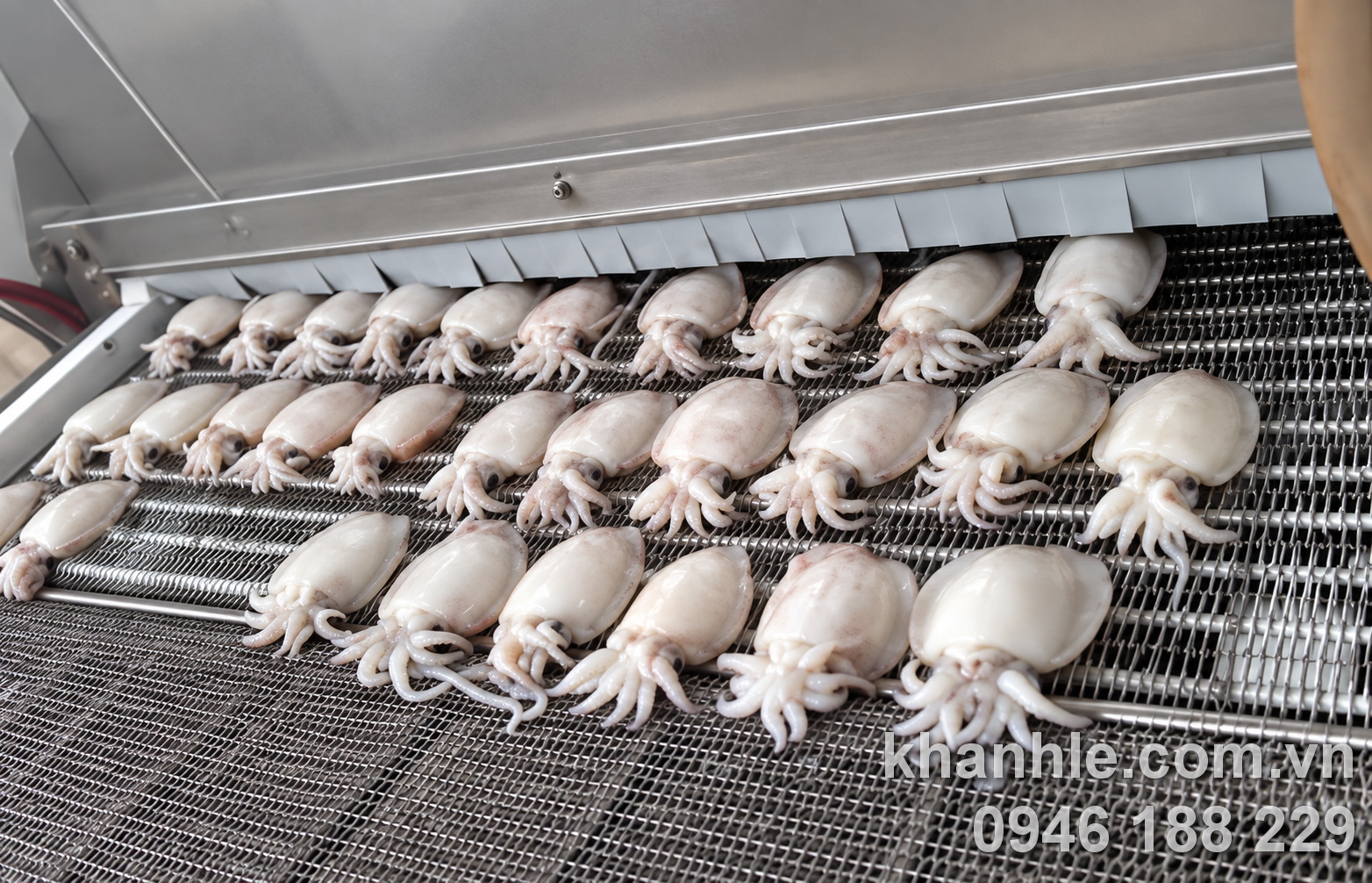Sản phẩm cấp đông - mực nút