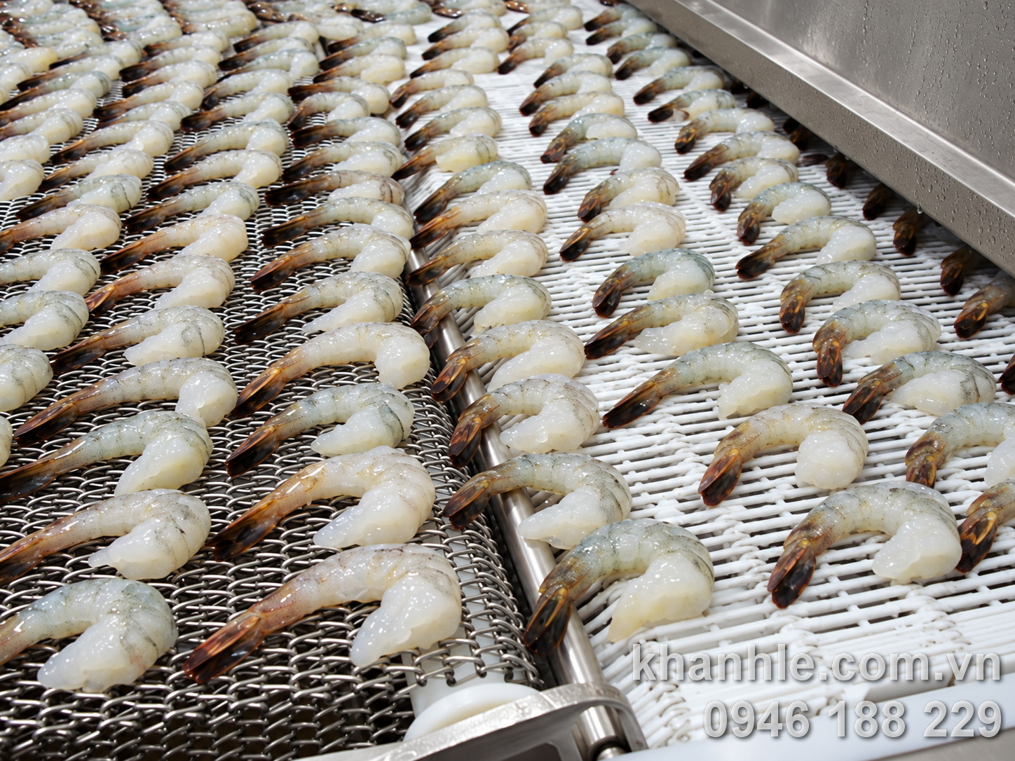 Sản phẩm cấp đông – Tôm PTO