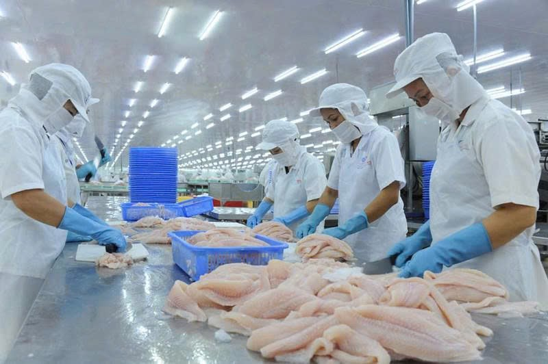 Giải pháp cho ngành chế biến thủy sản