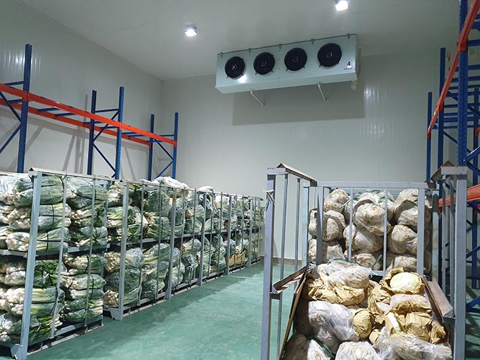 Giải pháp cho rau củ quả, trái cây